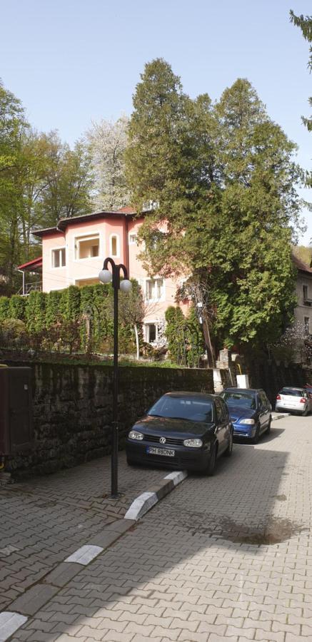 Casa Rosa Villa Băile Olăneşti Eksteriør bilde