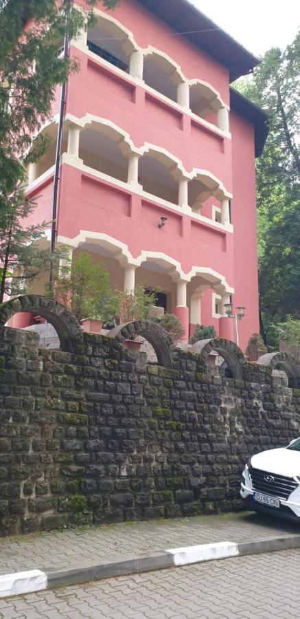 Casa Rosa Villa Băile Olăneşti Eksteriør bilde