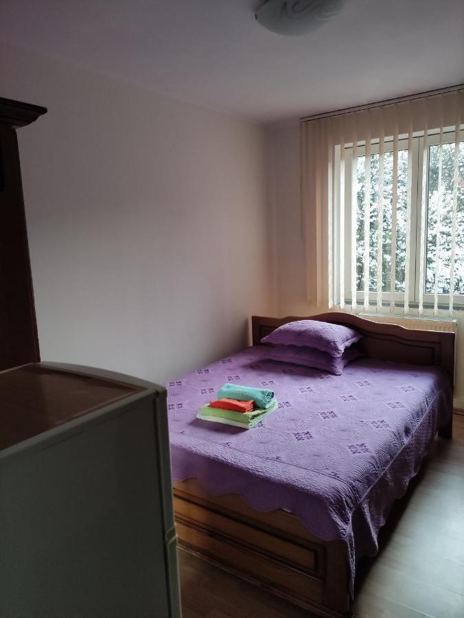 Casa Rosa Villa Băile Olăneşti Eksteriør bilde