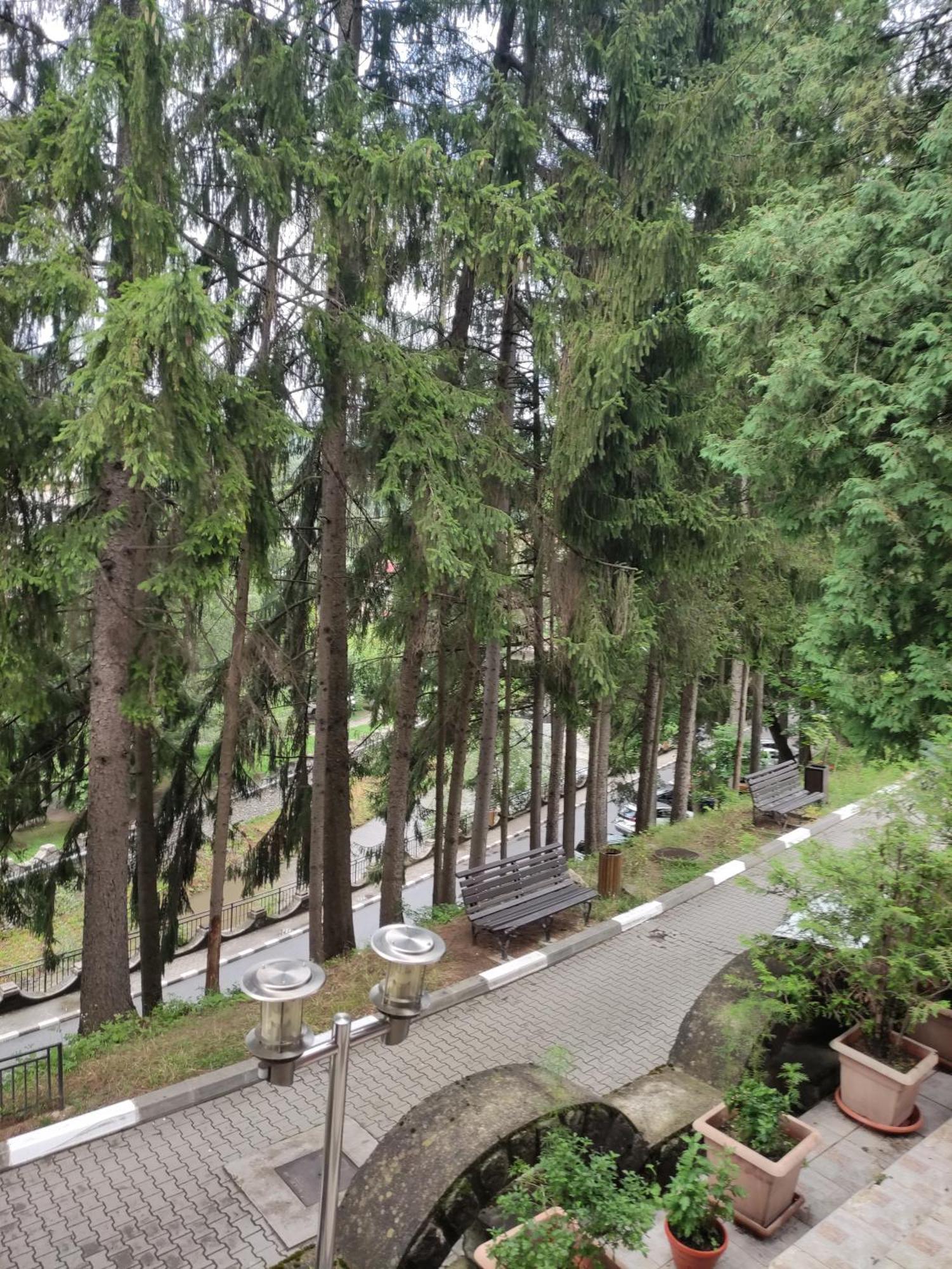 Casa Rosa Villa Băile Olăneşti Eksteriør bilde