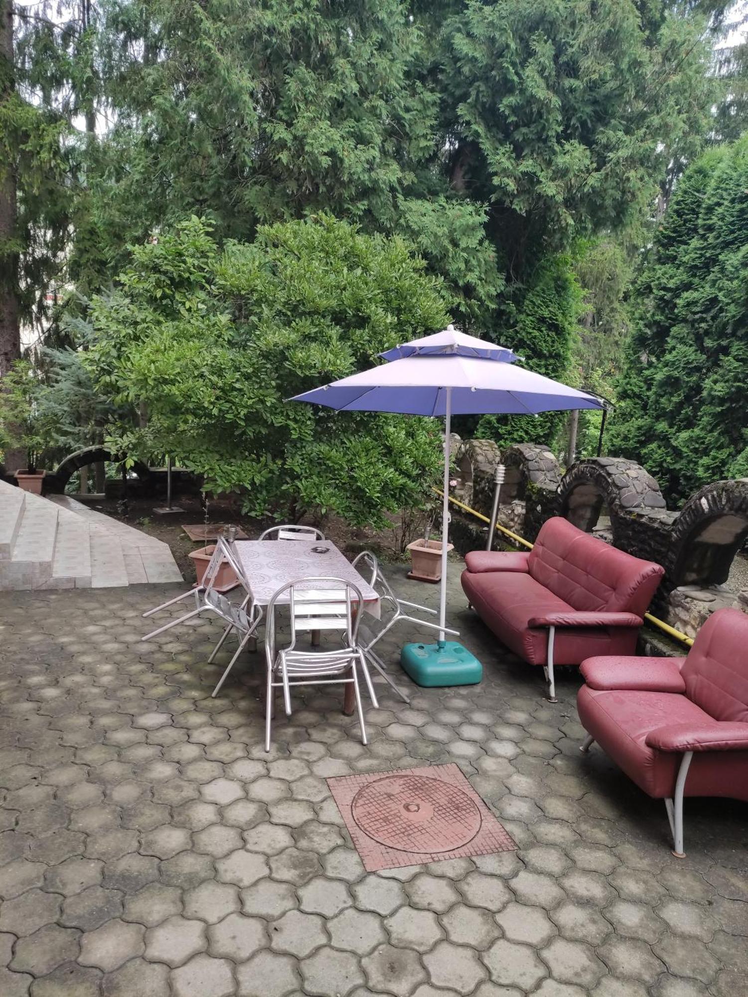 Casa Rosa Villa Băile Olăneşti Eksteriør bilde