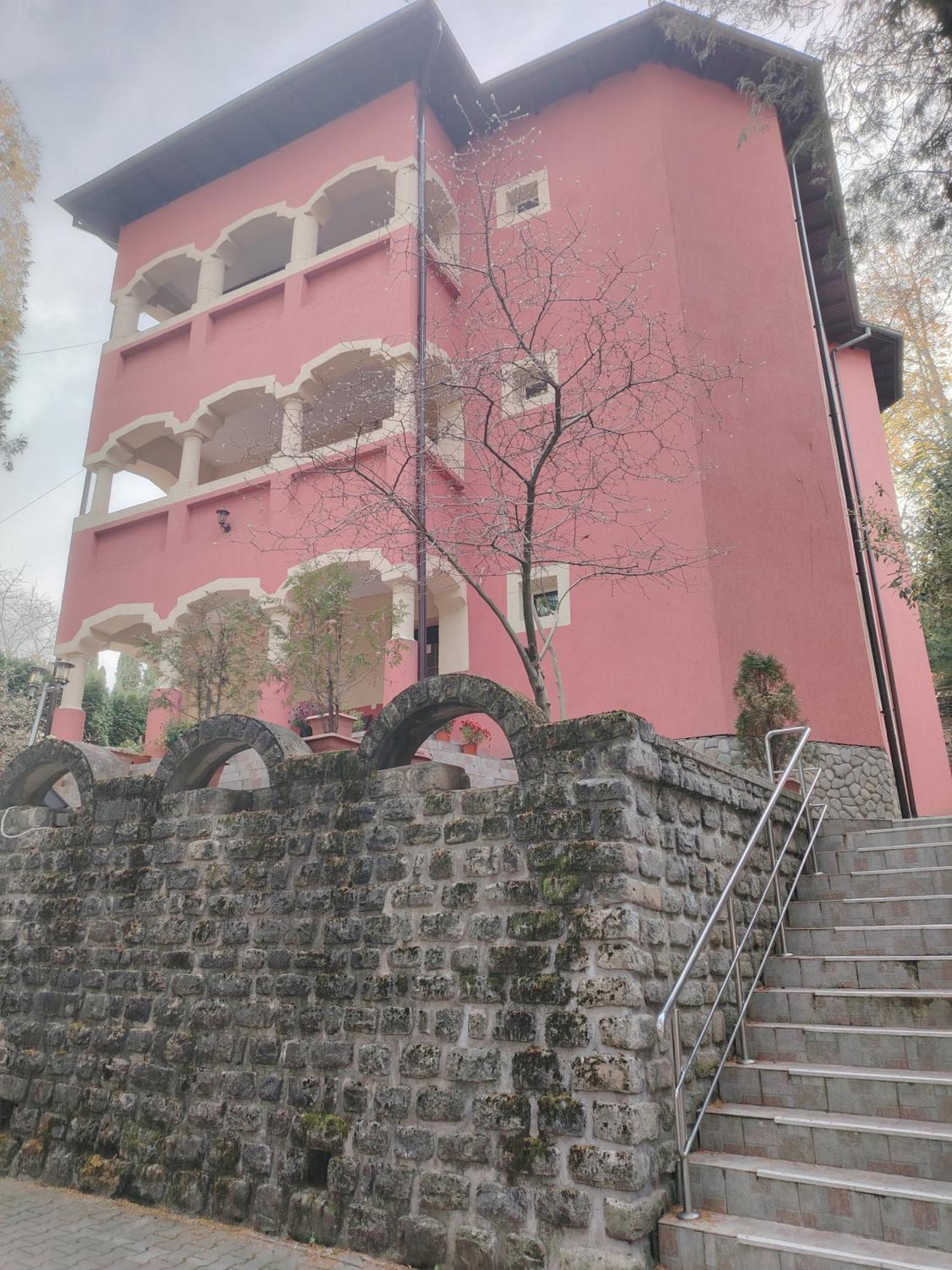 Casa Rosa Villa Băile Olăneşti Rom bilde
